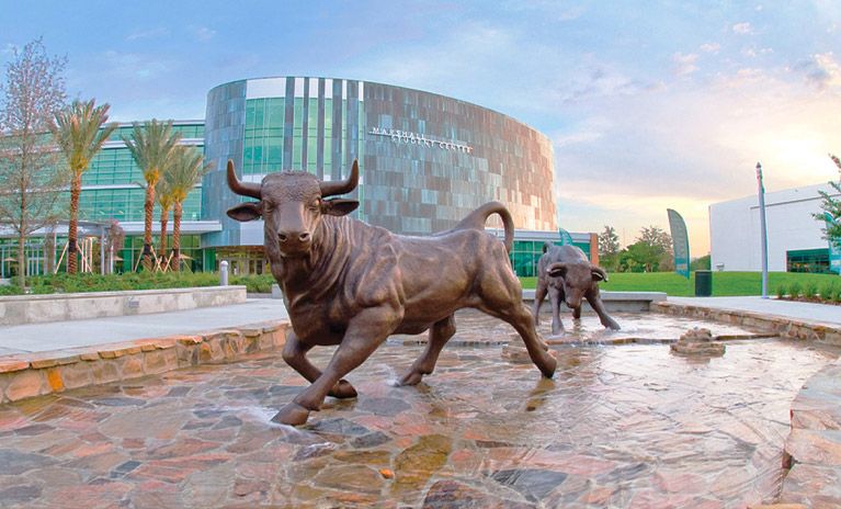 university of south florida campus building